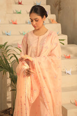 Najia Zia Unstitched 3 Piece Emb Lawn Collection'2025-Wonder