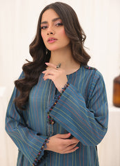Zlooms 2 Pc Embroidered Set - ZL25-C14-02