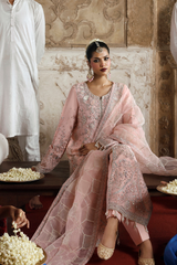 Romansiyyah By Emaan Adeel Unstitched 3 Piece Luxury Formals Collection'2025-Gulsheen