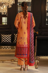 Asim Jofa Prints Unstitched 3 Piece Digital Lawn Vol-06 Collection'2024-AJUN-09