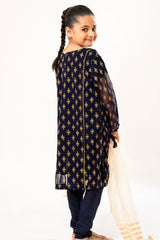 Shehzadiyan By Amna Khadija Stitched 3 Piece Festive Formals Pret Vol-02 Collection'2024-AKS-31