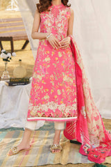 Meraki by Asifa N Nabeel Unstitched 3 Piece Lawn Collection'2024-Anika