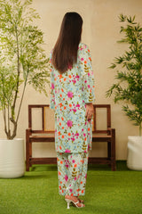 Shabnam By Aizal Stitched 2 Piece Printed Co Ords Vol-02 Collection'2025-A-S-04-FEROZI