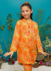 Modest Stitched 2 Piece Spring Summer Collection'2025-Sunset Bloom