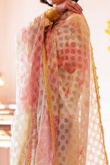 Jahaan By Seran Unstitched 3 Piece Eid Edit Lawn Collection'2024-D-04-Aliyan