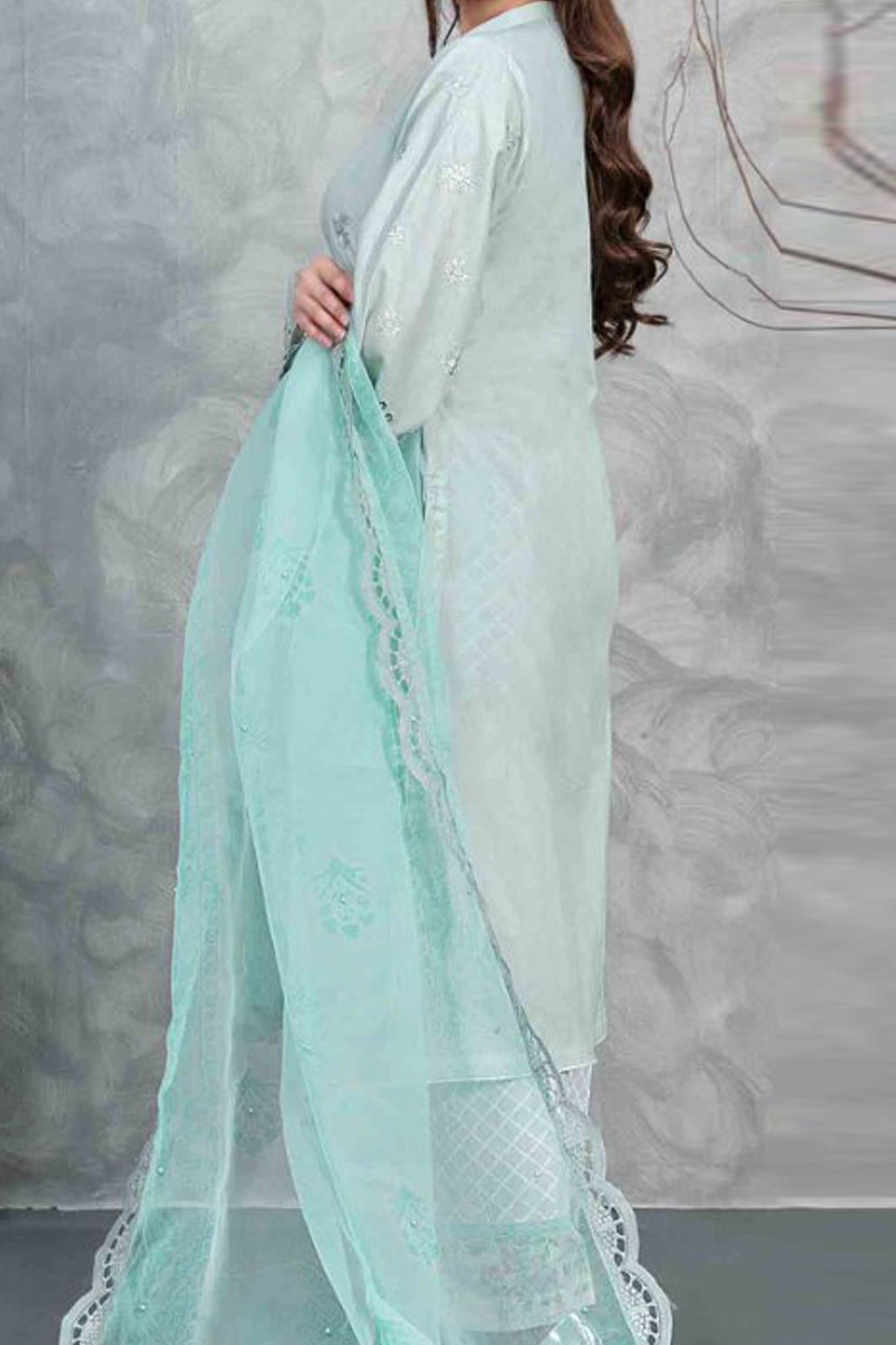 Rayleah By Tawakkal Unstitched 3 Piece Emb Schiffli Lawn Collection'2024-D-2929