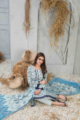 Frey by Tawakkal Unstitched 3 Printed & Emb Lawn Collection'2023-FT-8641