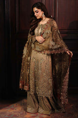 Dastan E Jashan By Charizma Unstitched 3 Piece Chiffon Limited Edition Vol-01 Collection'2025-DJW5-02