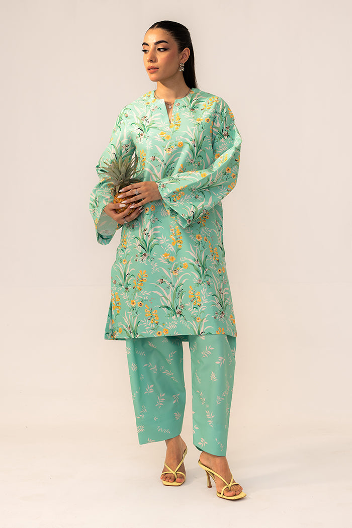 Fleur Co Ords By Sheenora Stitched 2 Piece Lawn Silk Collection'2025-Meadow