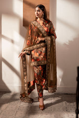 Meeru By Sheenora Stitched 3 Piece Festive Pret Collection'2025-JANAN