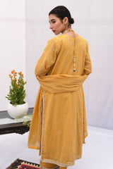 Najia Zia Unstitched 3 Piece Lawn Collection'2025-Jaal