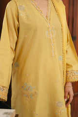 Spring Edit'25 By Mannat Clothing Stitched Collection-Dawn