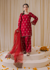 Chamak Dhamak By Pashma Khan Eid Collection'2025-Emaan