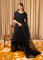 Chamak Dhamak By Pashma Khan Eid Collection'2025-Koyal
