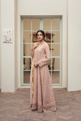 Rang Nirala By Manahils Stitched 3 Piece Formals Collection'2025-K-169-PEACH