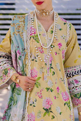Elaf Prints Unstitched 3 Piece Printed Lawn Collection'2024-EOP-02-B