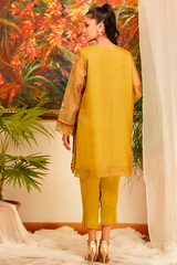 Zaaviay Stitched Organza Collection fern (Two Piece)