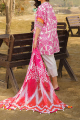 Meraki by Asifa N Nabeel Unstitched 3 Piece Lawn Collection'2024-Fia