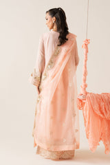 Zaib by Freesia Unstitched 3 Piece Chiffon Collection'2025-FS-50127-Anna