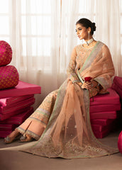 Chaandni By Gulaal Unstitched 3 Piece Wedding Formals Collection'2025-Raniya
