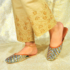 Bustangi Sheesh Mahal