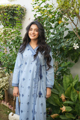 Miorah By Ayla Studio Stitched Solid Embroidered Co-ord - Samaa