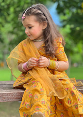 Modest Stitched 3 Piece Luxury Festive Kids Collection'2025-Shining Bee
