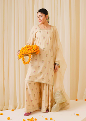 Chamak Dhamak By Pashma Khan Eid Collection'2025-Afrozeh