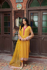 Panache Apparel Stitched Shirt Collection-Heer