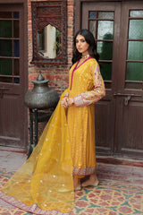 Panache Apparel Stitched Shirt Collection-Heer