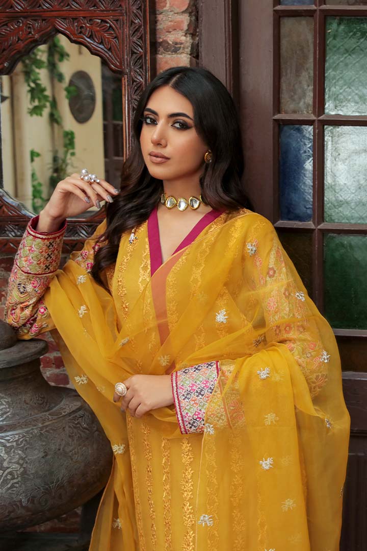 Panache Apparel Stitched Shirt Collection-Heer