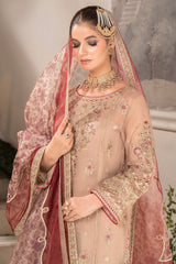 IP-111 Taneesha  festive Collection 2025