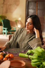 Iznik Unstitched 3 Piece Pre Fall Linen Collection'2025-IPF-02