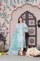 Ketifa Unstitched 3 Piece Festive Wedding Collection'2025-KTH 0306