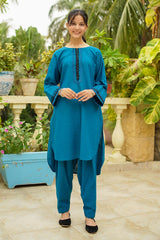Khaddar Embellished 2-Pc Suit: Elevate Your Wardrobe with Chic Style and Comfort for Every Event, Perfect for Casual Outings and Special Occasions!