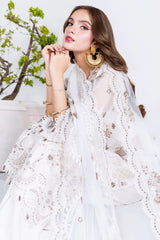 Arzoo by Ramsha Unstitched 3 Piece Chiffon Vol 02 Collection'2025-U-205