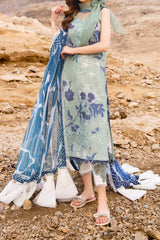 Meraki by Asifa N Nabeel Unstitched 3 Piece Lawn Collection'2024-Miya