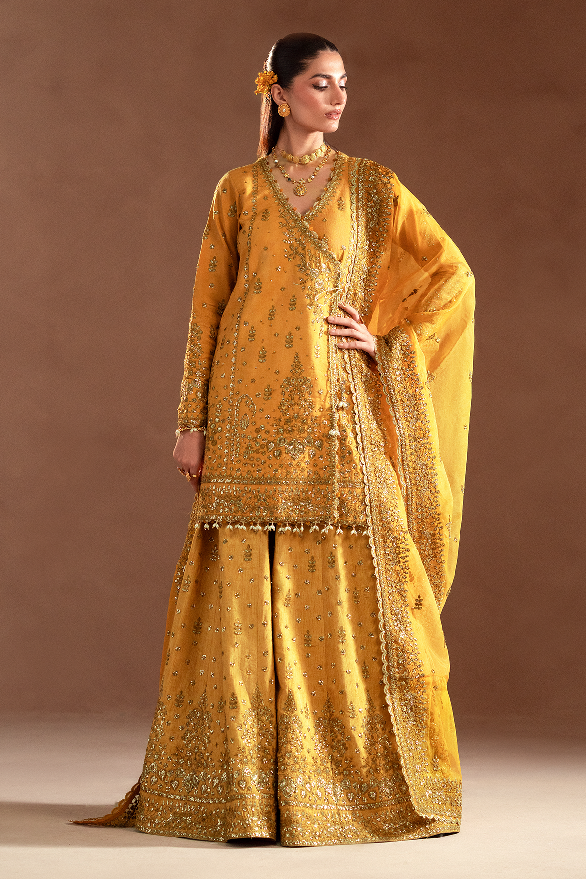 Selene Korean by Emaan Adeel Unstitched 3 Piece Raw Silk Collection'2024-Veloria
