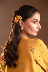 Selene Korean by Emaan Adeel Unstitched 3 Piece Raw Silk Collection'2024-Veloria