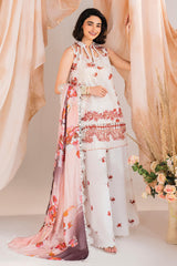 Meraki By Asifa Nabeel Unstitched 3 Piece Winter Vol-01 Collection'2024