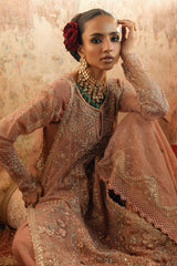Mehermaah by Florent Unstitched 3 Piece Wedding Formals Collection'2025-Nayab