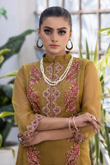 Ketifa Unstitched 2 Piece Festive Wedding Collection'2025-Nr 0101
