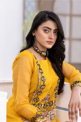 Ketifa Unstitched 2 Piece Festive Wedding Collection'2025-Nr 0103
