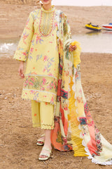 Meraki by Asifa N Nabeel Unstitched 3 Piece Lawn Collection'2024-Orchid