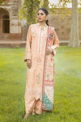 Rangoon by Marjjan Unstitched 3 Piece Embroidered Wool Collection'2022-RWS-53