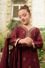 Slub Manar Hand Adda Work 3 Pc Suit - Wear Ochre