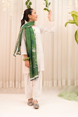 Ochre Clothing Chikankari 3 Pc Suit