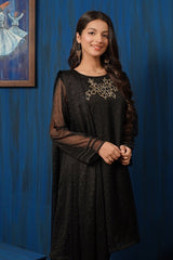 Chiffon Hand Adda Work 3 Pc Suit - Wear Ochre