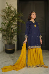 Ochre Clothing Raw Silk Embroidered 3 Pc Suit Collection'2025-MHD-12