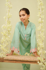 Cotton Embroidered 2 Pc Suit - Wear Ochre